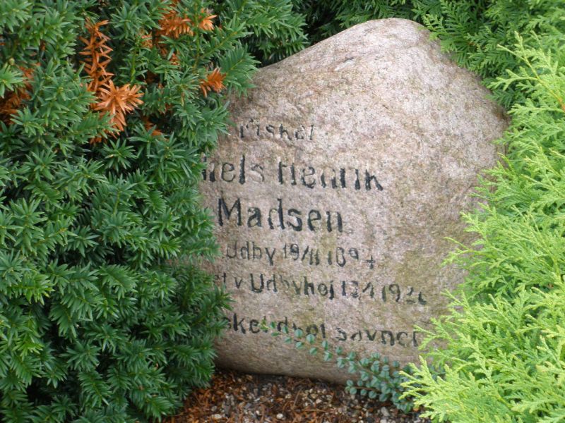 Niels Henrik Madsen.JPG